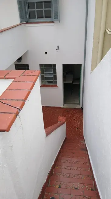 Foto 3 de Casa com 3 quartos para alugar, 248m2 em Vila Bertioga, São Paulo - SP