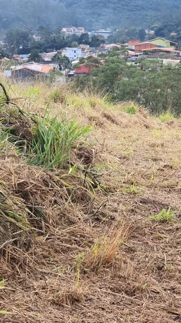 Foto 3 de Terreno / Lote à venda, 27000m2 em Quarta Divisão, Ribeirao Pires - SP