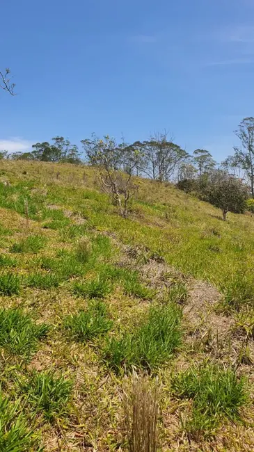 Foto 4 de Terreno / Lote à venda, 27000m2 em Quarta Divisão, Ribeirao Pires - SP