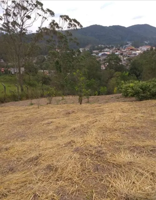 Foto 7 de Terreno / Lote à venda, 27000m2 em Quarta Divisão, Ribeirao Pires - SP
