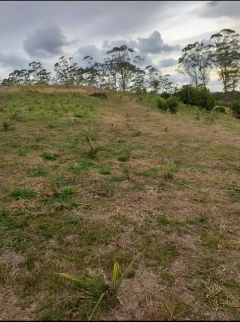 Foto 2 de Terreno / Lote à venda, 27000m2 em Quarta Divisão, Ribeirao Pires - SP