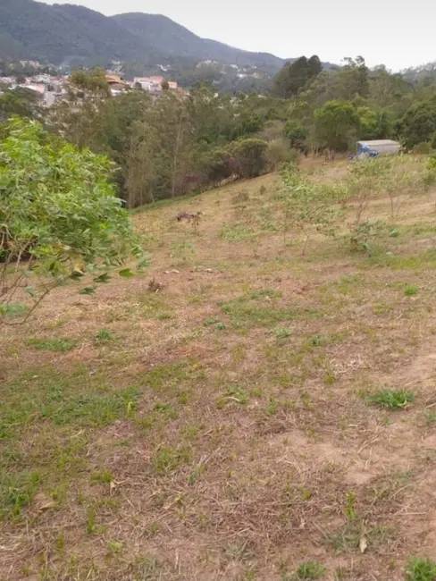 Foto 8 de Terreno / Lote à venda, 27000m2 em Quarta Divisão, Ribeirao Pires - SP