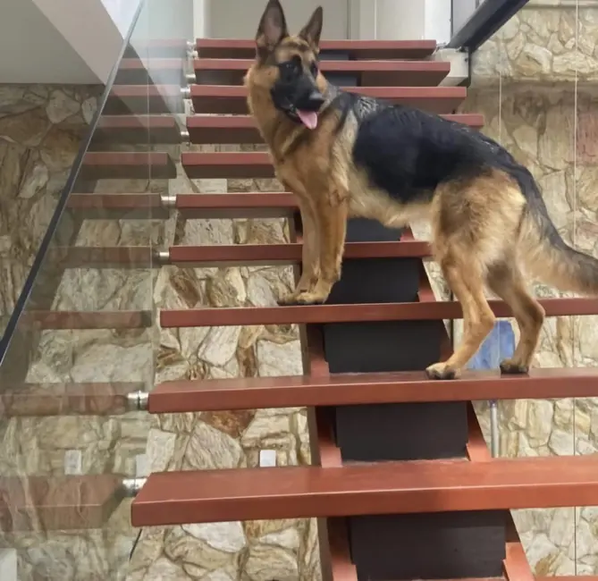 Foto 4 de Casa com 3 quartos à venda, 192m2 em Jardim Esmeralda (Zona Sul), São Paulo - SP