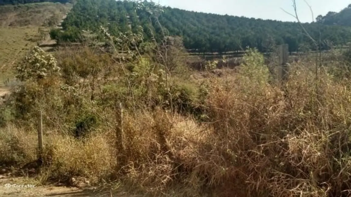 Foto 6 de Terreno / Lote à venda, 10000m2 em Socorro - SP