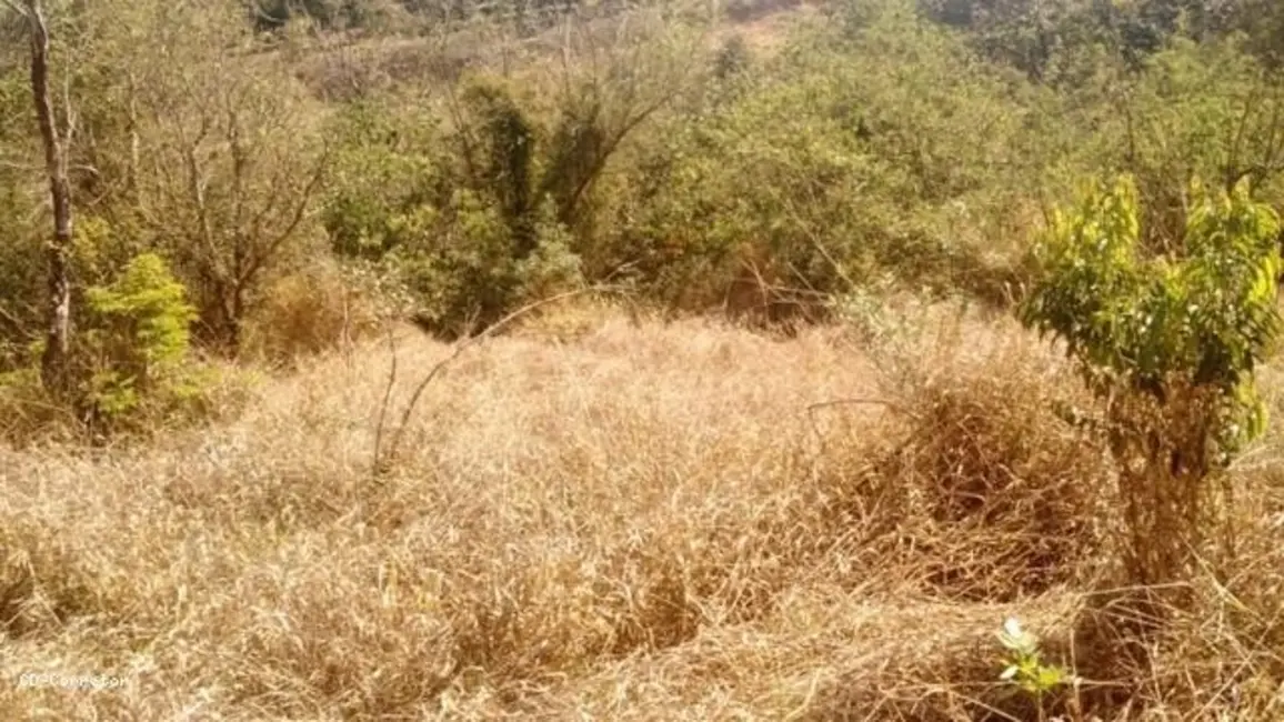 Foto 4 de Terreno / Lote à venda, 10000m2 em Socorro - SP