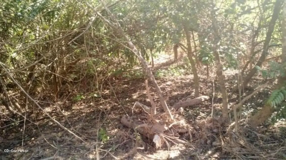 Foto 5 de Terreno / Lote à venda, 10000m2 em Socorro - SP