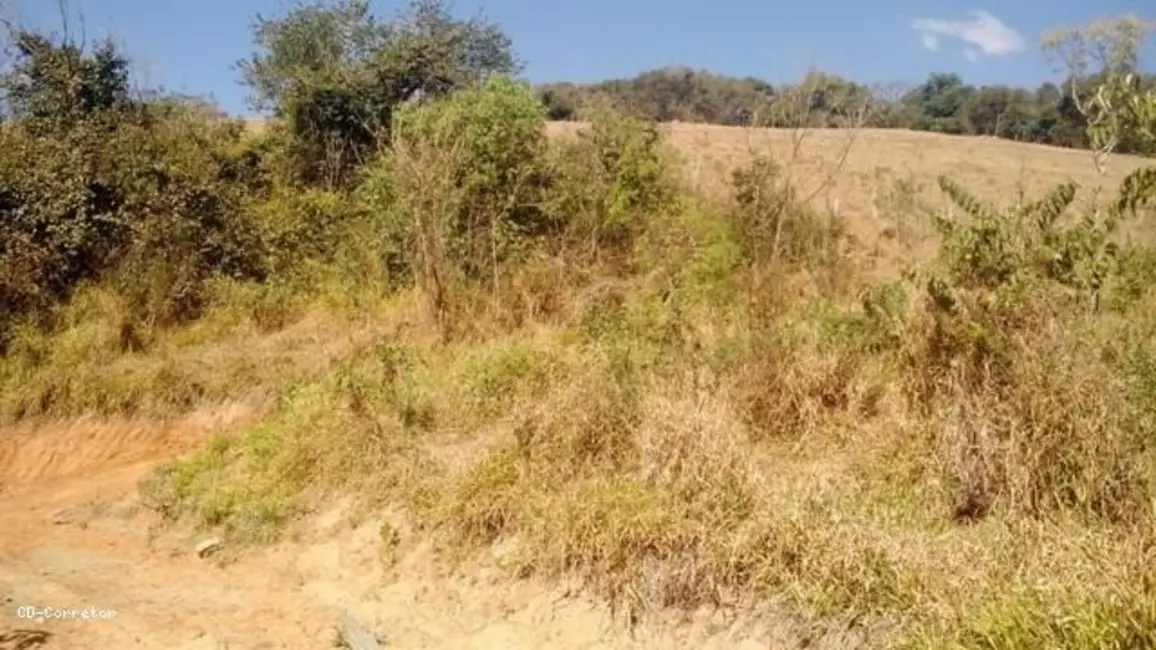 Foto 3 de Terreno / Lote à venda, 10000m2 em Socorro - SP