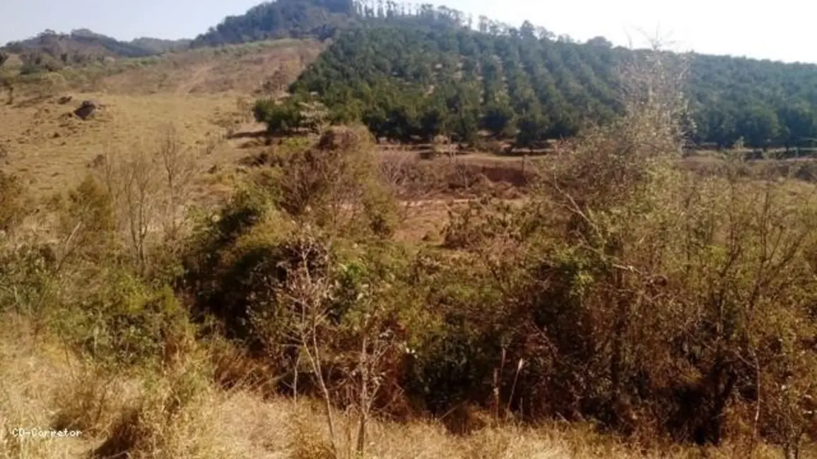 Foto 9 de Terreno / Lote à venda, 10000m2 em Socorro - SP