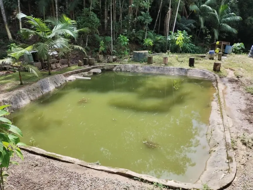 Chácara com 2 quartos à venda, 6440m2 em Represa, Ribeirao Pires - SP - imagem 3 Foto 3 de Chácara com 2 quartos à venda, 6440m2 em Represa, Ribeirao Pires - SP