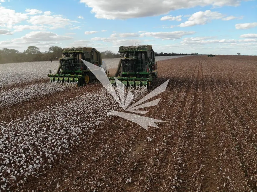 Foto 2 de Fazenda / Haras à venda, 24795m2 em Centro, Luziania - GO