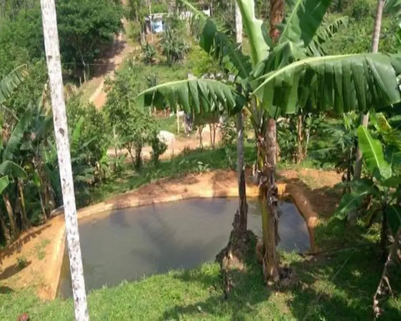 Chácara com 10 quartos à venda, 5000m2 em Peruibe - SP - imagem 5 Foto 5 de Chácara com 10 quartos à venda, 5000m2 em Peruibe - SP