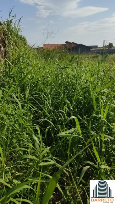 Foto 6 de Terreno / Lote à venda, 360m2 em Itanhaem - SP