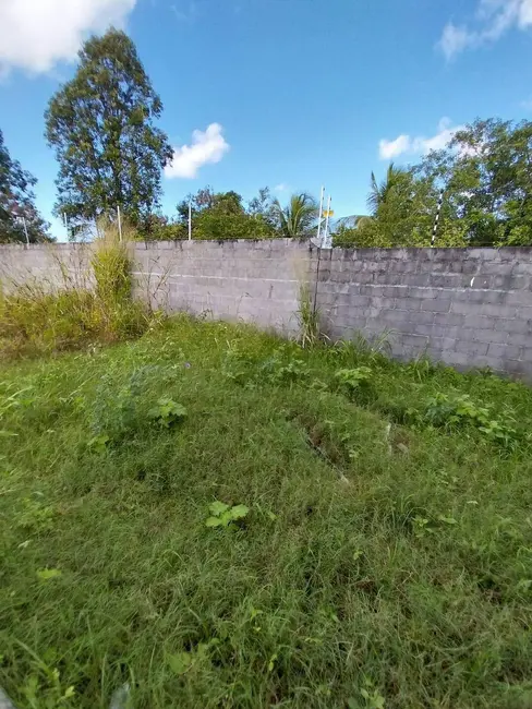 Casa com 3 quartos à venda, 12m2 em Camacari - BA - imagem 9 Foto 9 de Casa com 3 quartos à venda, 12m2 em Camacari - BA