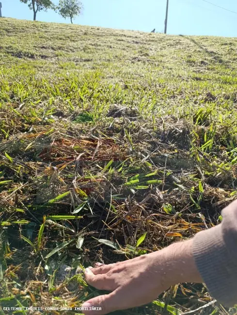Foto 2 de Terreno / Lote à venda em Taubate - SP