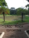 Imagem 6