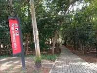 Imagem 5