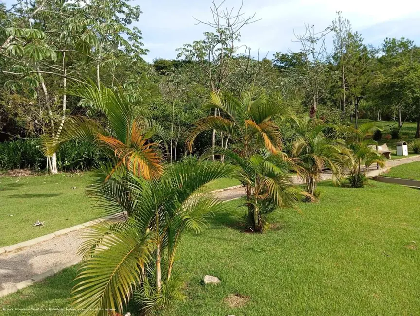 Foto 8 de Terreno / Lote à venda em Taubate - SP