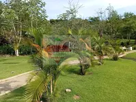Imagem 8