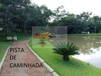 Imagem 7