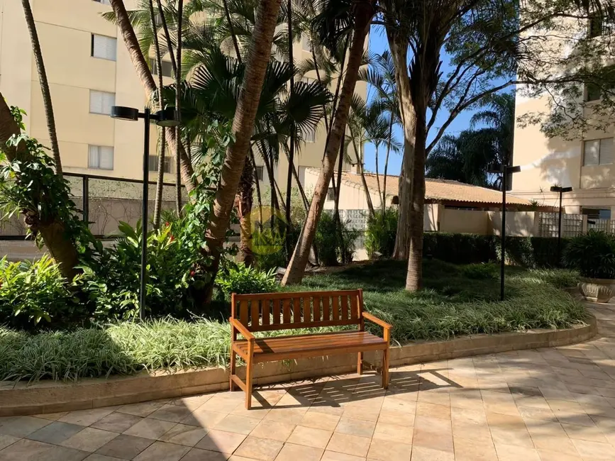 Foto 6 de Apartamento com 3 quartos para alugar, 70m2 em Jardim Vila Mariana, São Paulo - SP