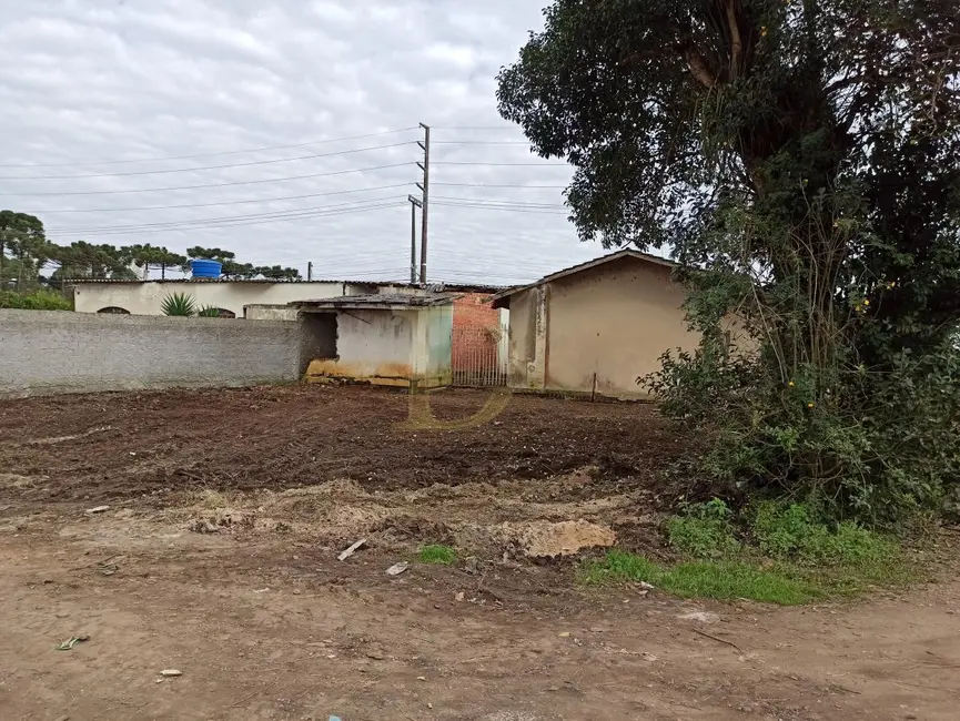 Terreno / Lote à venda em Piraquara - PR - imagem 7 Foto 7 de Terreno / Lote à venda em Piraquara - PR