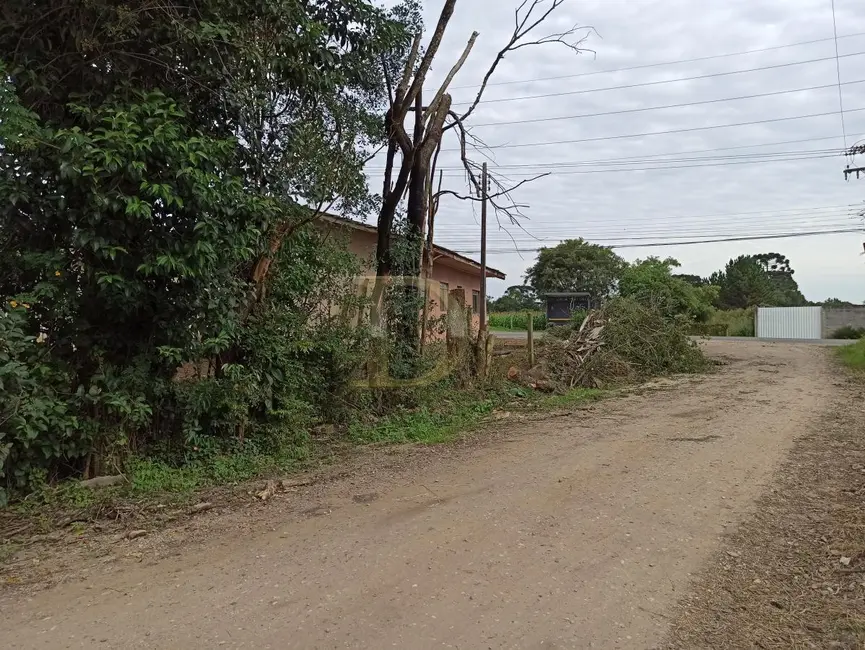Terreno / Lote à venda em Piraquara - PR - imagem 9 Foto 9 de Terreno / Lote à venda em Piraquara - PR