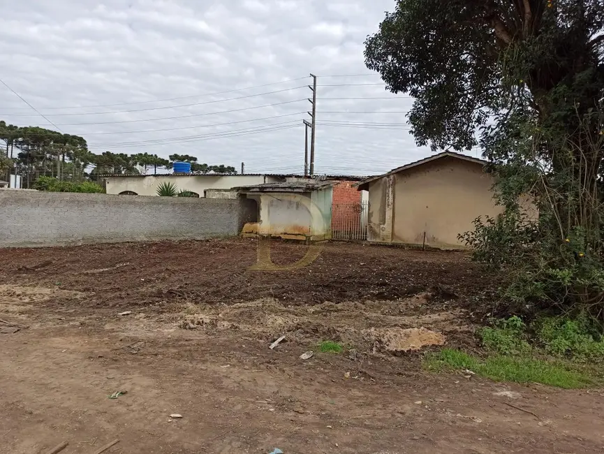 Terreno / Lote à venda em Piraquara - PR - imagem 8 Foto 8 de Terreno / Lote à venda em Piraquara - PR