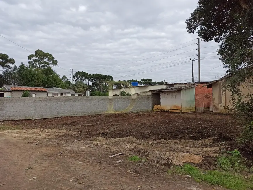 Terreno / Lote à venda em Piraquara - PR - imagem 3 Foto 3 de Terreno / Lote à venda em Piraquara - PR