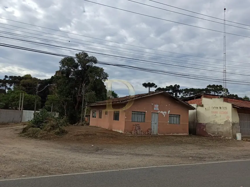 Foto 13 de Terreno / Lote à venda em Piraquara - PR
