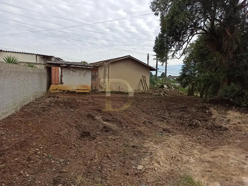 Terreno / Lote à venda em Piraquara - PR - imagem 5 Foto 5 de Terreno / Lote à venda em Piraquara - PR