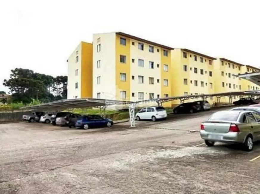 Apartamento com 2 quartos à venda, 44m2 em Sao Jose Dos Pinhais - PR - imagem 4 Foto 4 de Apartamento com 2 quartos à venda, 44m2 em Sao Jose Dos Pinhais - PR