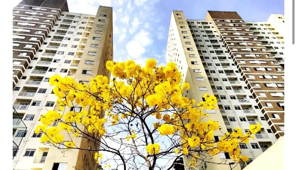 Foto 1 de Apartamento com 2 quartos para alugar, 53m2 em Votupoca, Barueri - SP