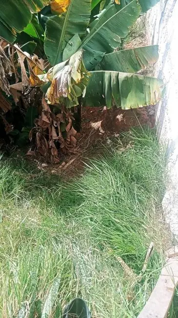 Foto 3 de Terreno / Lote à venda, 272m2 em Parque dos Camargos, Barueri - SP