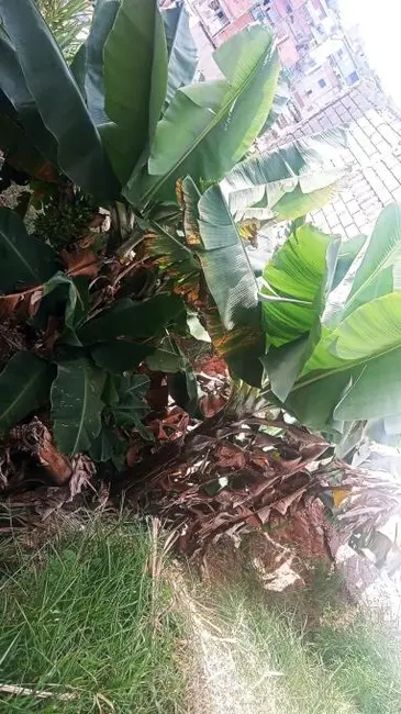 Foto 5 de Terreno / Lote à venda, 272m2 em Parque dos Camargos, Barueri - SP