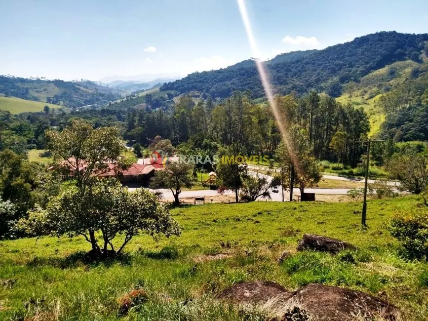 Foto 4 de Terreno / Lote à venda, 9580m2 em Santo Antonio Do Pinhal - SP