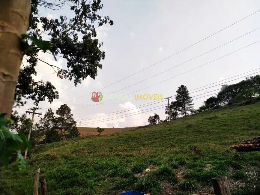 Foto 8 de Terreno / Lote à venda, 9580m2 em Santo Antonio Do Pinhal - SP