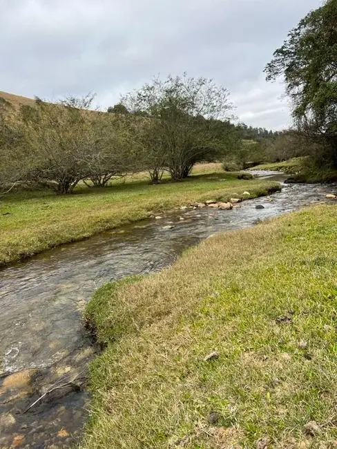 Foto 4 de Terreno / Lote à venda, 363000m2 em Sao Bento Do Sapucai - SP