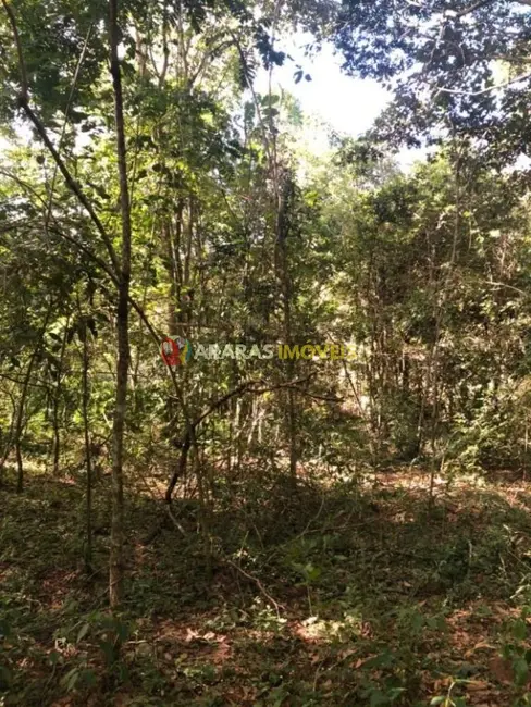 Terreno / Lote à venda, 50000m2 em Goncalves - MG - imagem 3 Foto 3 de Terreno / Lote à venda, 50000m2 em Goncalves - MG