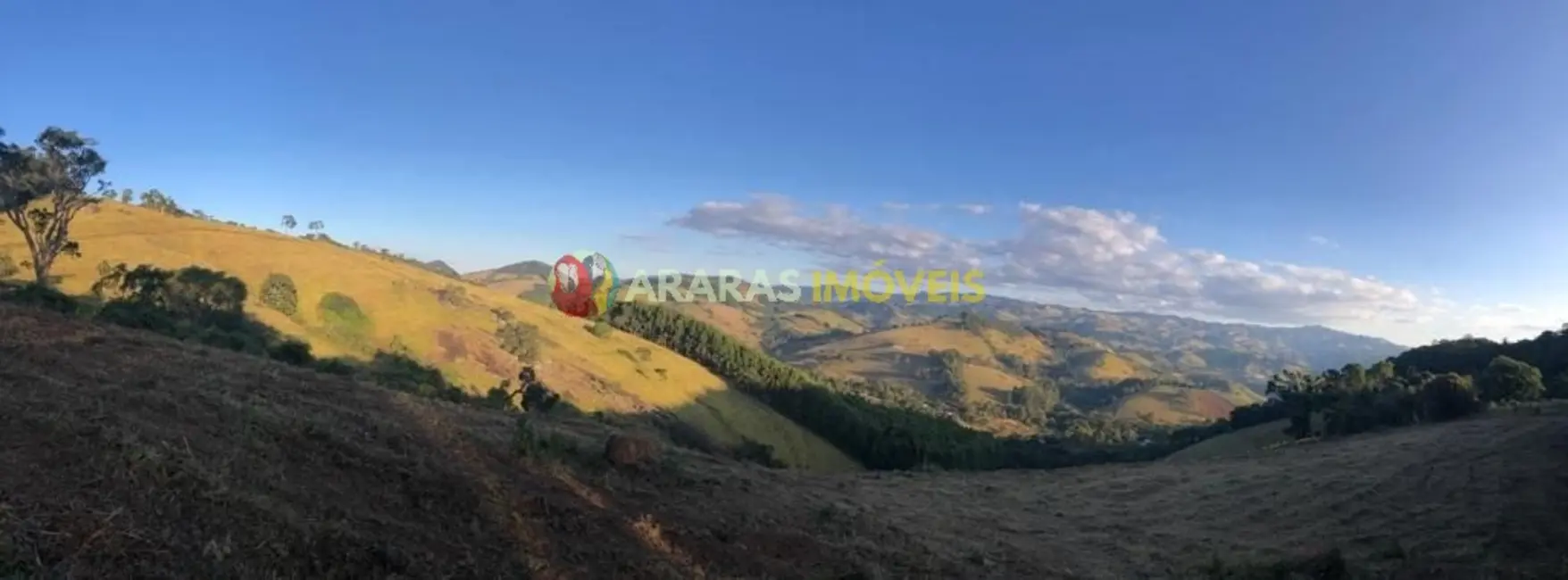 Terreno / Lote à venda, 25000m2 em Paraisopolis - MG - imagem 4 Foto 4 de Terreno / Lote à venda, 25000m2 em Paraisopolis - MG