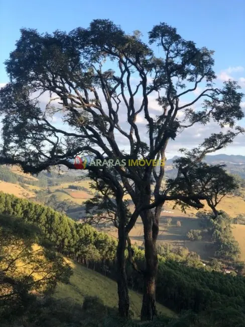 Terreno / Lote à venda, 25000m2 em Paraisopolis - MG - imagem 7 Foto 7 de Terreno / Lote à venda, 25000m2 em Paraisopolis - MG