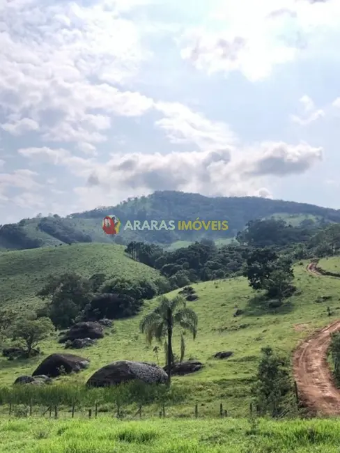 Terreno / Lote à venda, 20000m2 em Paraisopolis - MG - imagem 4 Foto 4 de Terreno / Lote à venda, 20000m2 em Paraisopolis - MG