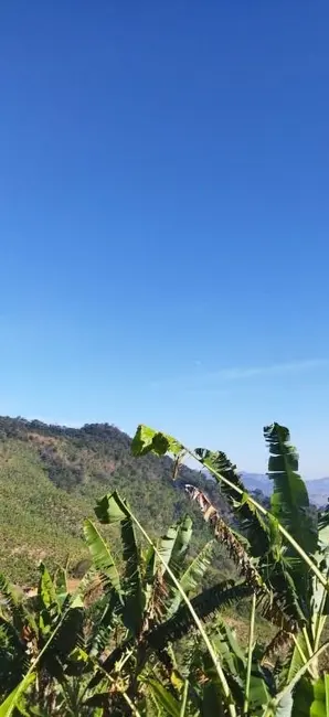 Foto 6 de Terreno / Lote à venda, 36000m2 em Sao Bento Do Sapucai - SP