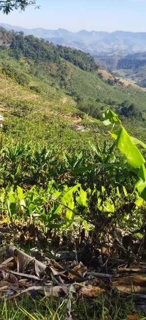 Foto 5 de Terreno / Lote à venda, 36000m2 em Sao Bento Do Sapucai - SP