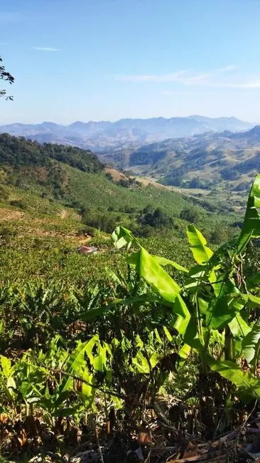 Foto 3 de Terreno / Lote à venda, 36000m2 em Sao Bento Do Sapucai - SP