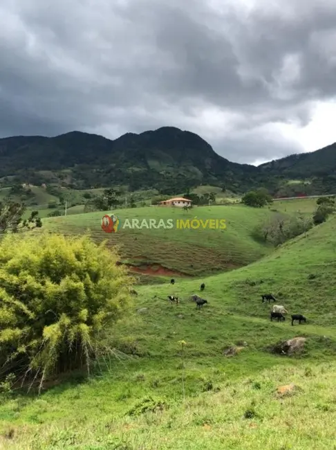Foto 6 de Terreno / Lote à venda, 60500m2 em Sao Bento Do Sapucai - SP