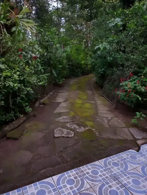 Chácara com 3 quartos à venda, 3800m2 em Bertioga - SP - imagem 6 Foto 6 de Chácara com 3 quartos à venda, 3800m2 em Bertioga - SP