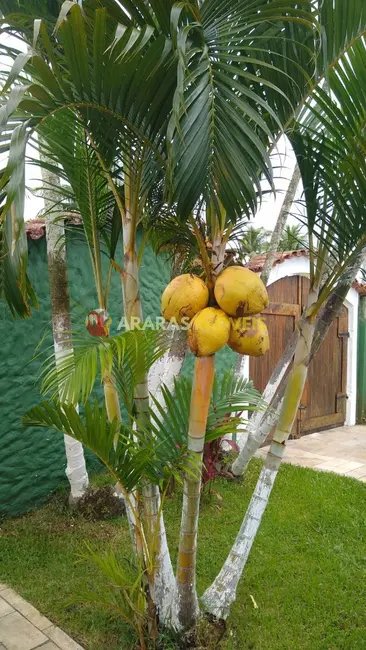 Casa com 3 quartos à venda, 240m2 em Bertioga - SP - imagem 8 Foto 8 de Casa com 3 quartos à venda, 240m2 em Bertioga - SP