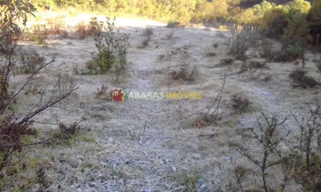 Casa com 2 quartos à venda, 33000m2 em Goncalves - MG - imagem 5 Foto 5 de Casa com 2 quartos à venda, 33000m2 em Goncalves - MG