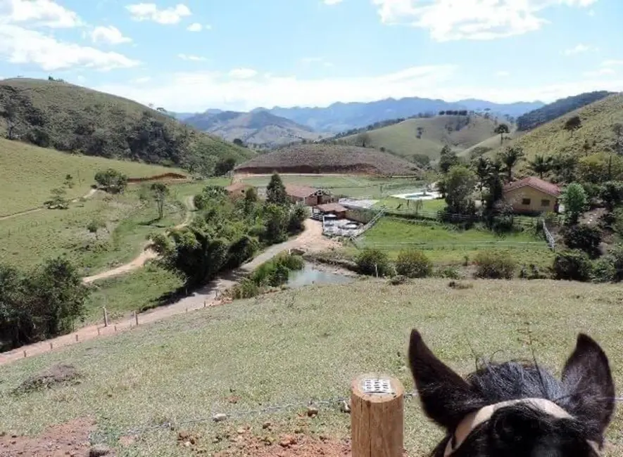 Foto 5 de Chácara com 5 quartos à venda, 850m2 em Sao Bento Do Sapucai - SP