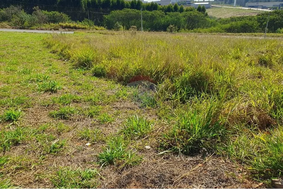 Foto 3 de Terreno / Lote à venda, 250m2 em Salto De Pirapora - SP